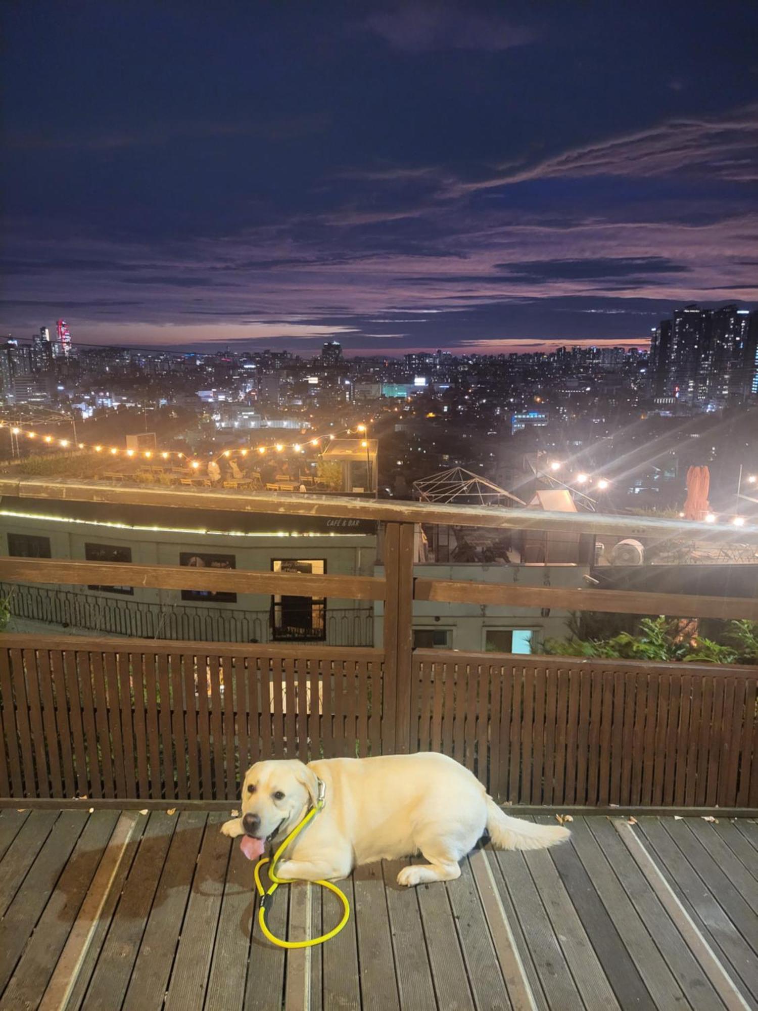 Brand New 2 Bedroom Apartment #6 โซล ภายนอก รูปภาพ