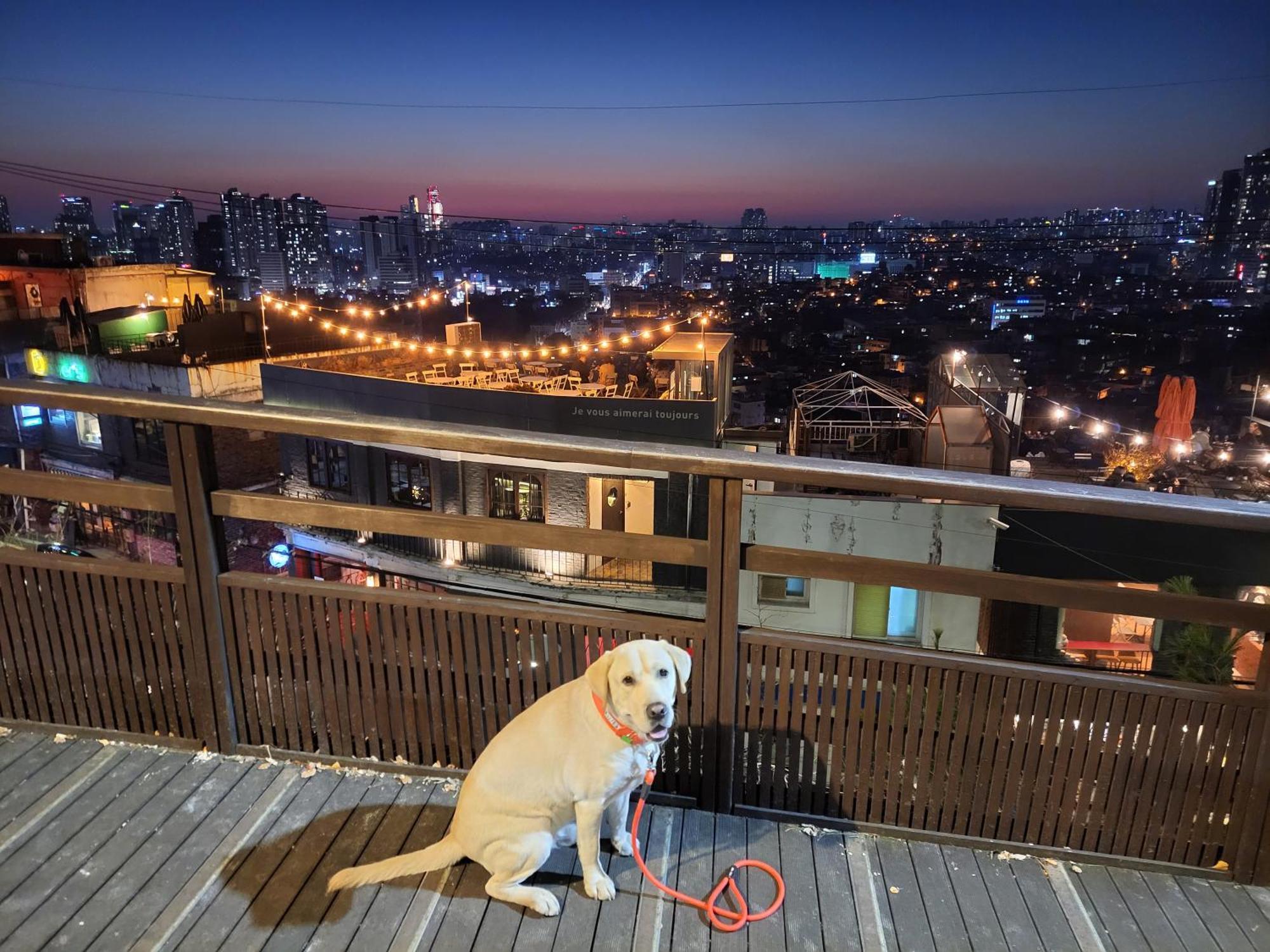 Brand New 2 Bedroom Apartment #6 โซล ภายนอก รูปภาพ